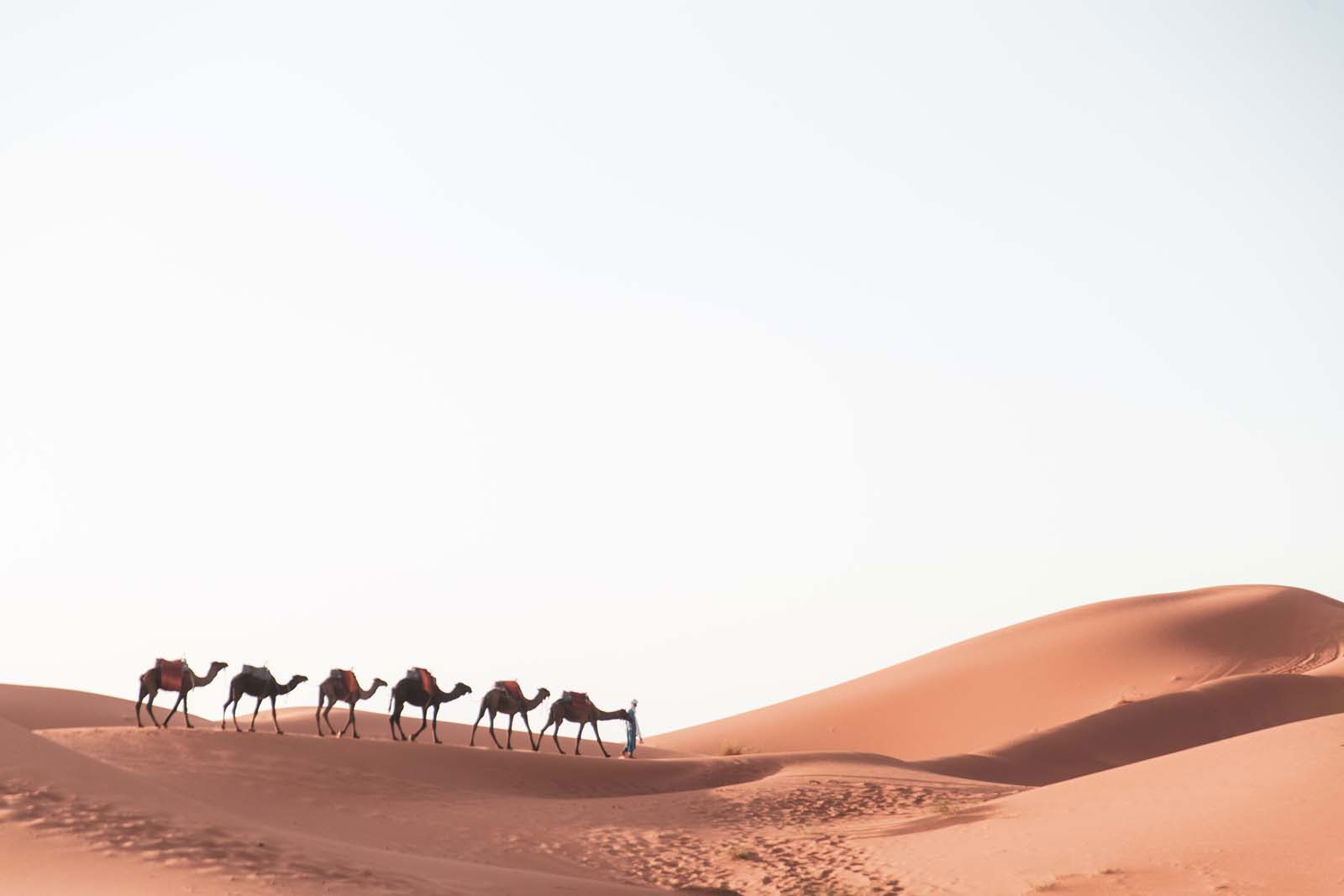 5 Tage – Tour von Marrakesch nach Fès über die Sahara-Wüste