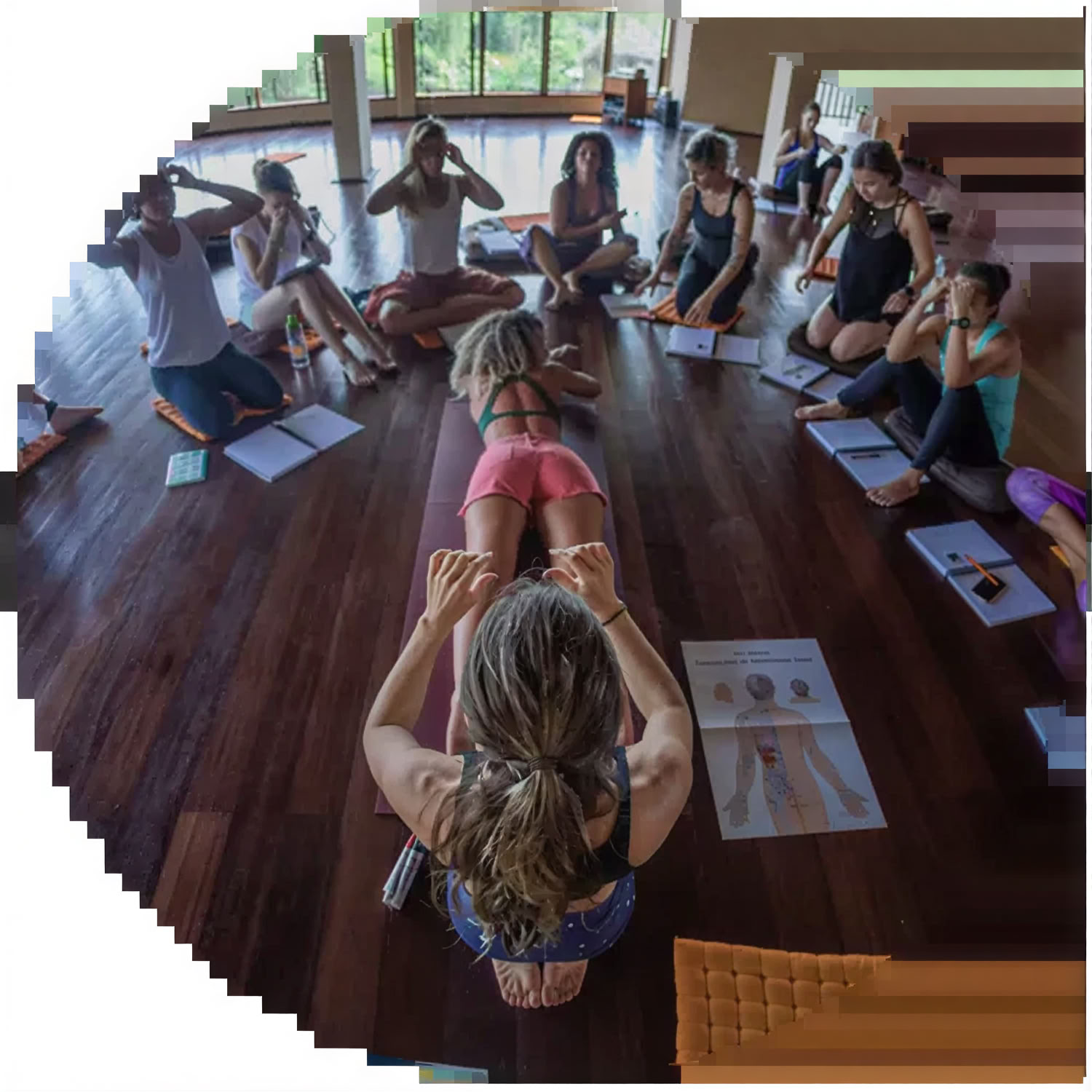 50HR Yoga-Lehrer-Ausbildung