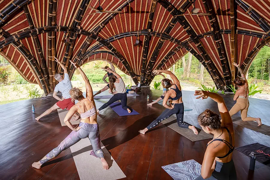 Vaidika Dharma: 100-Stunden SPIRIT Yoga Teacher Training