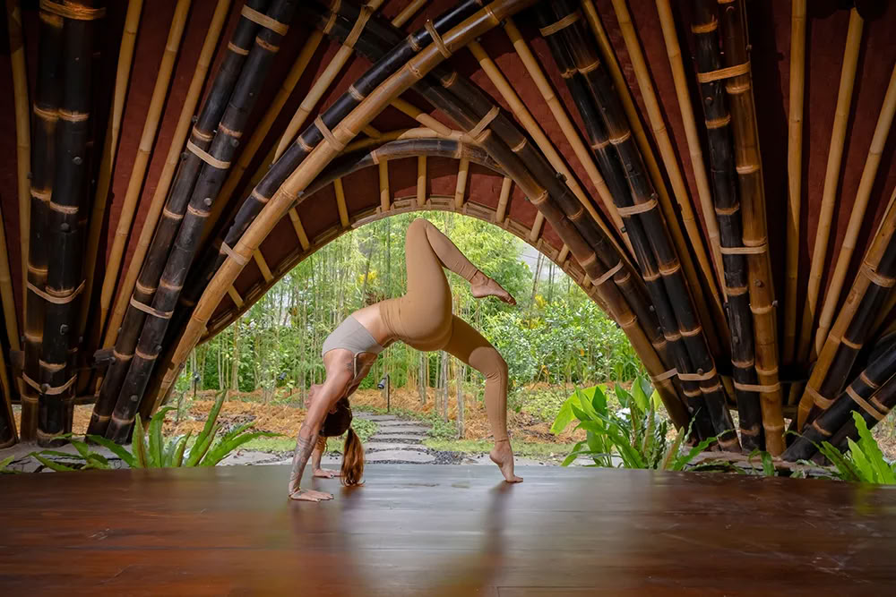 Vaidika Dharma: 100-Stunden SPIRIT Yoga Teacher Training