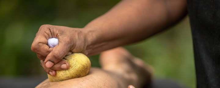 10-Tage-Kurs: Werde Ayurveda-Therapeut, Sri Lanka