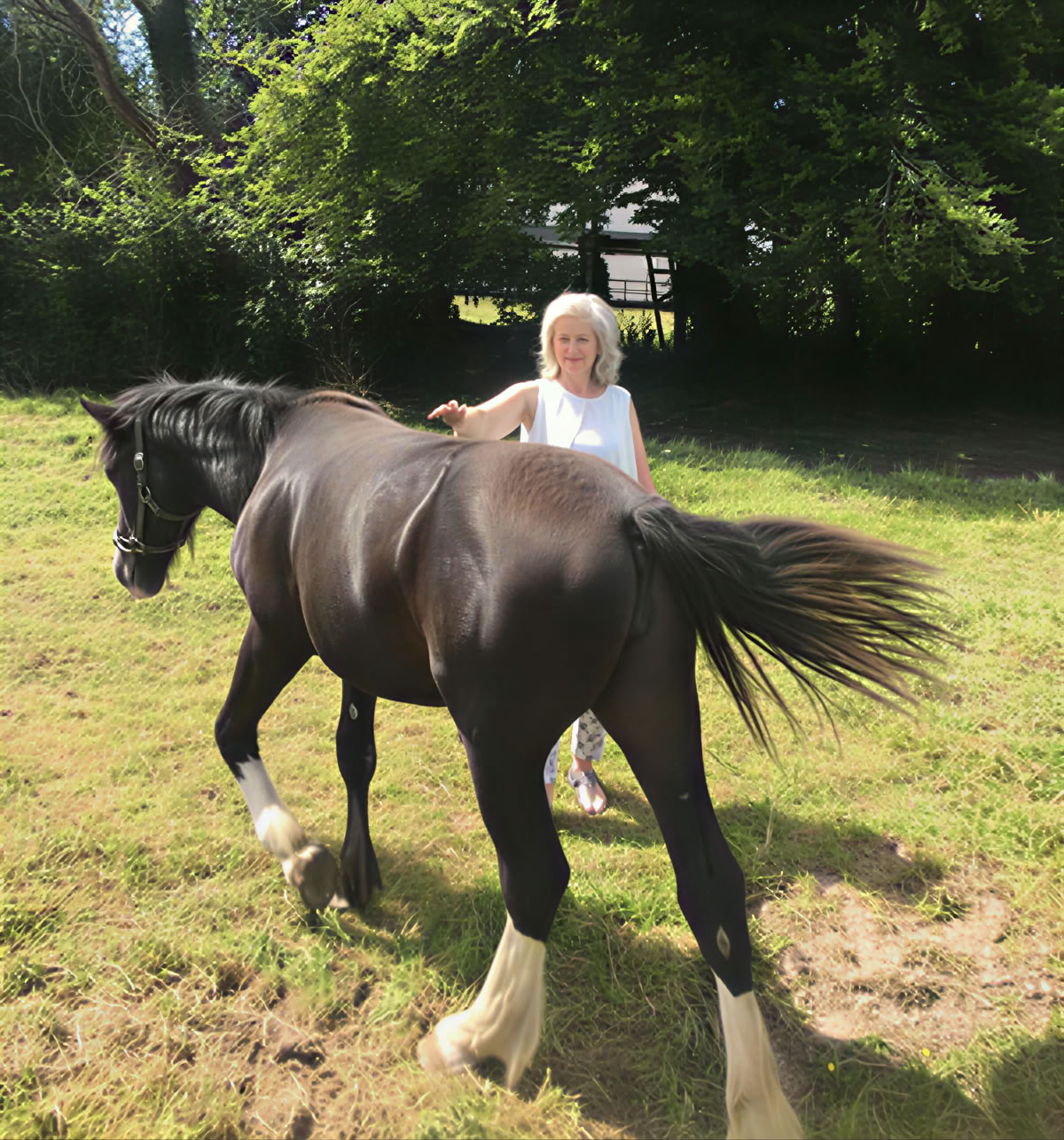 Equine 1-2-1 Therapie