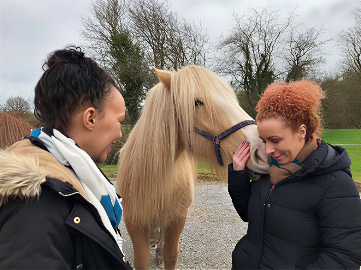 Equine 1-2-1 Therapie