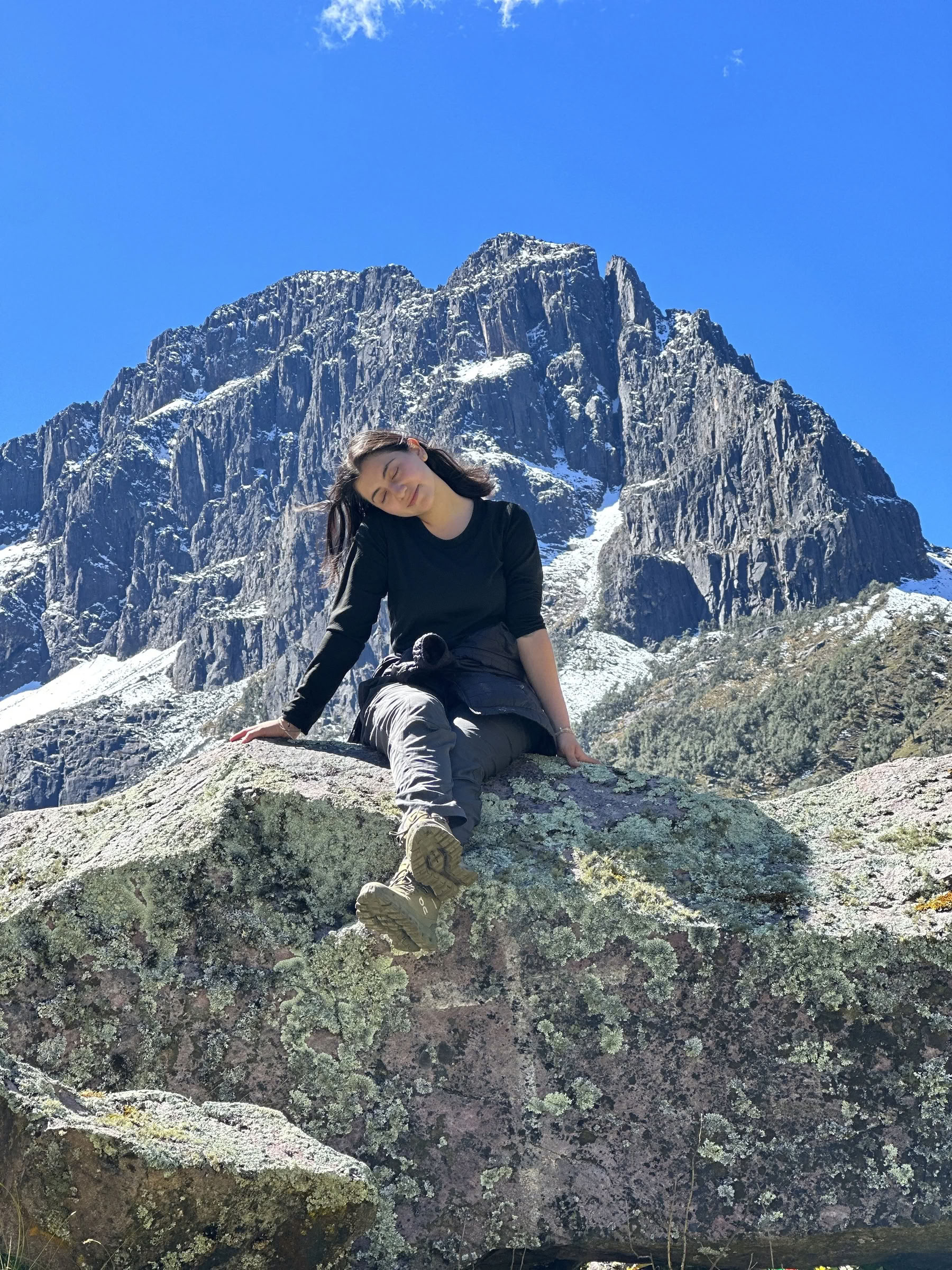 Der Ruf der heiligen Pflanzen – Retreat
