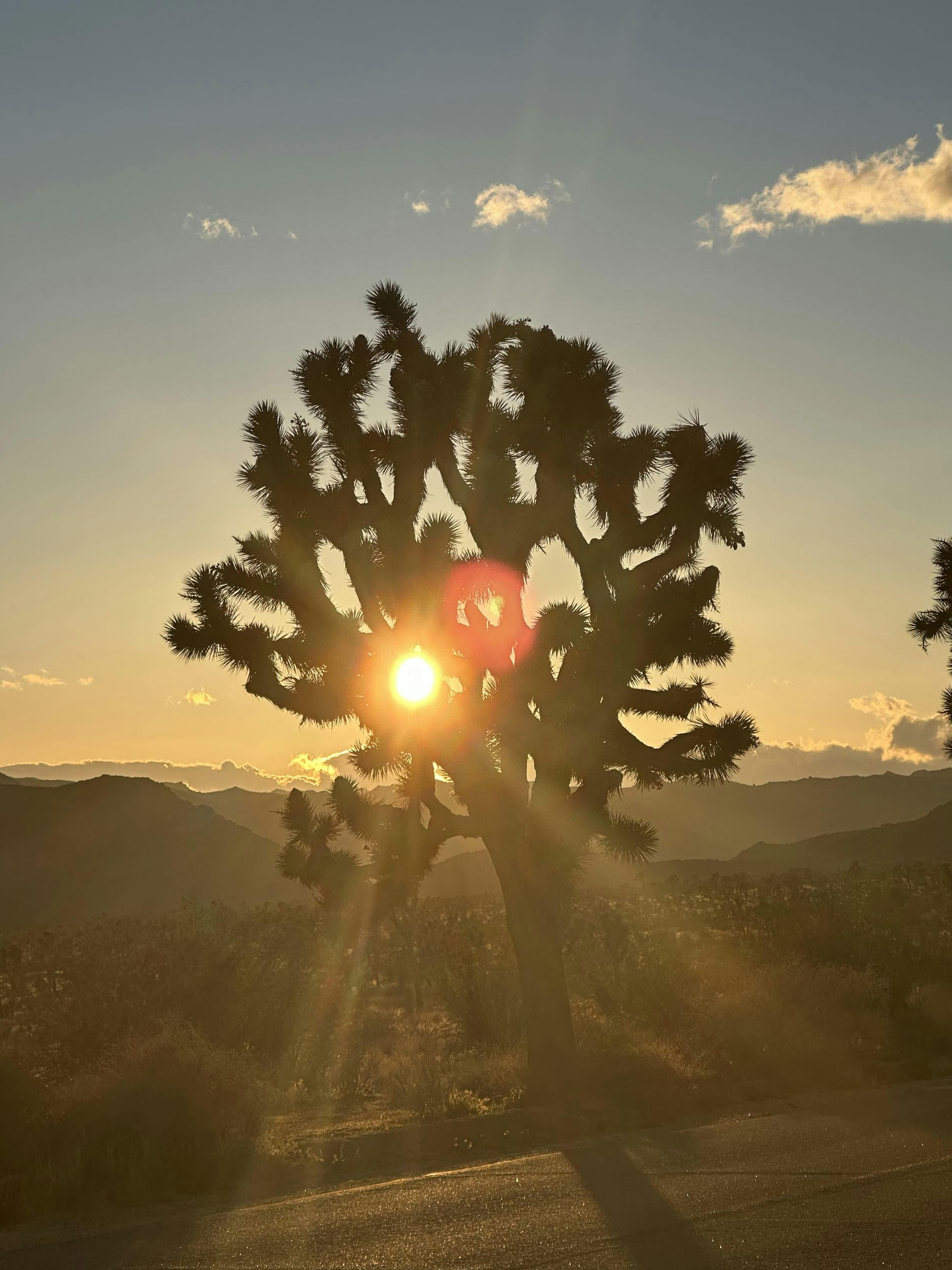 Wüsten-Heilungs-Breathwork-Erlebnis - Palm Springs