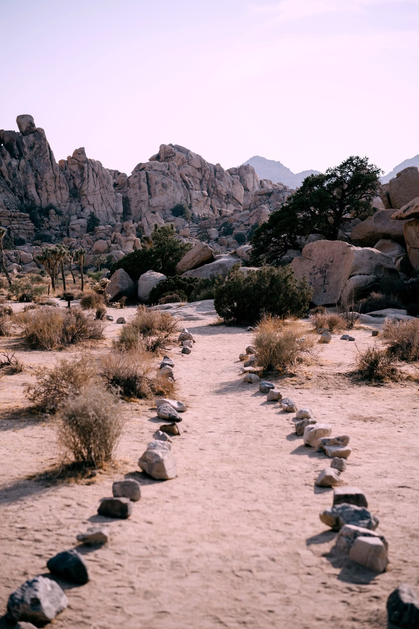 Wüsten-Heilungs-Breathwork-Erlebnis - Palm Springs
