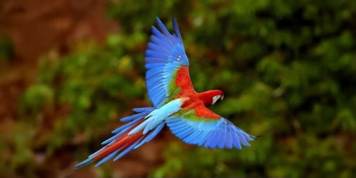 Good Society Club Yoga & Pilates Retreat in Costa Rica