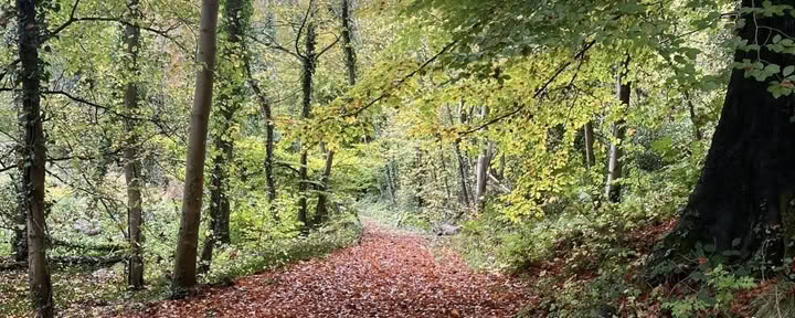Anzahlung für Ho' Oponopono Retreat 18. bis 21. Mai