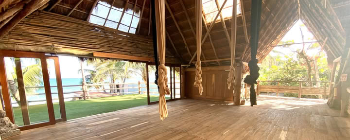 Aerial Silks Workshop