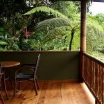 Darshan Retreats