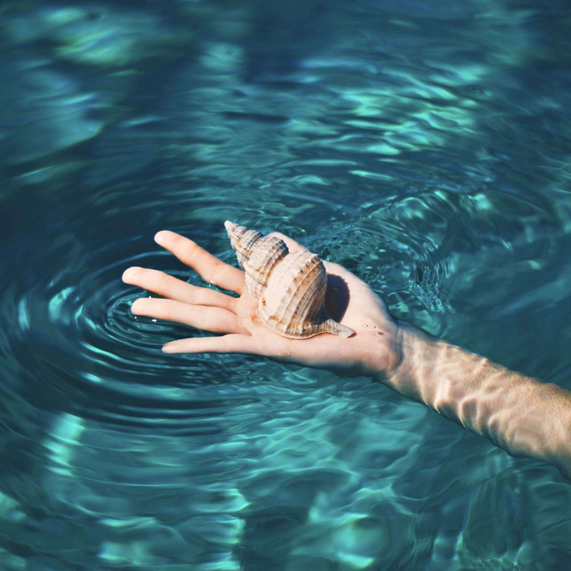 Solo-Retreat: Jeden Tag Surfen
