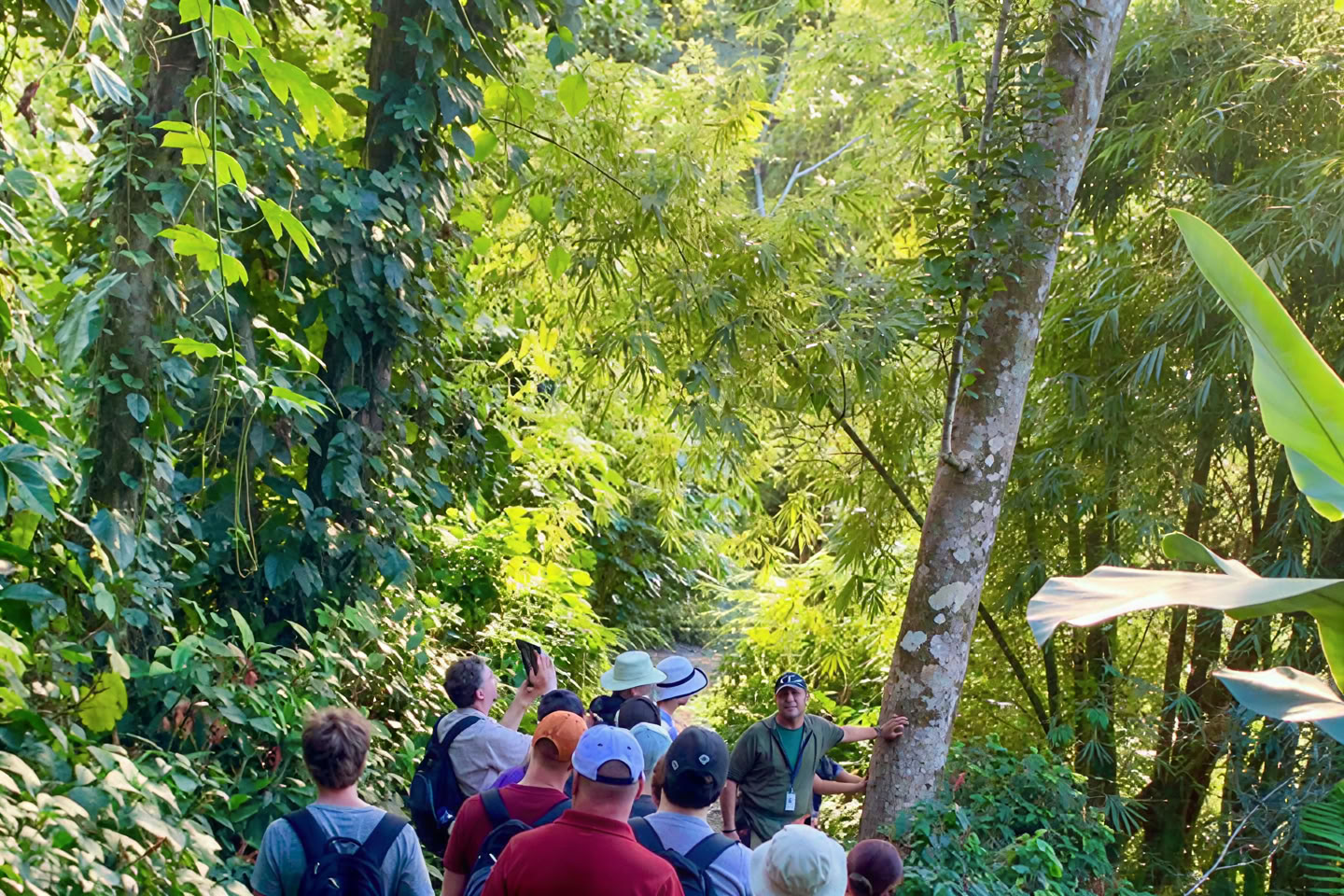 Wild & Scenic Regenwald-Naturspaziergang zum Flussabenteuer