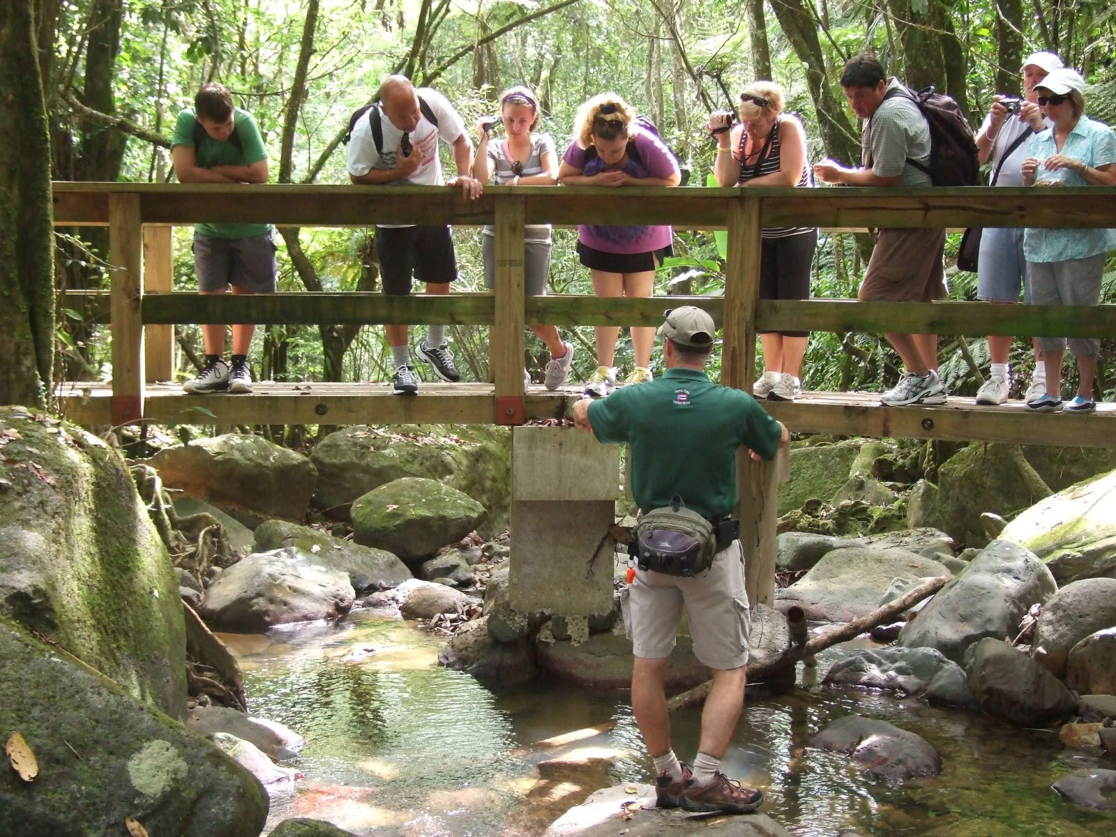 Wild & Scenic Regenwald-Naturspaziergang zum Flussabenteuer