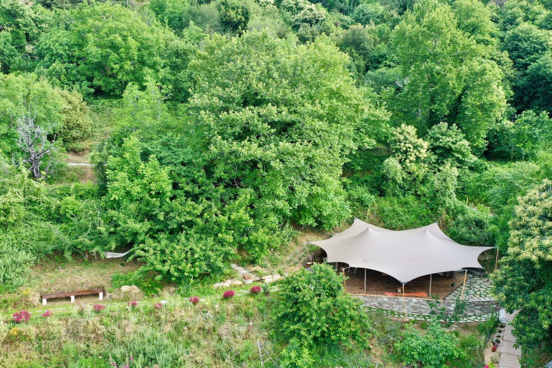 Harmonisiere Yoga & Wellness Retreat