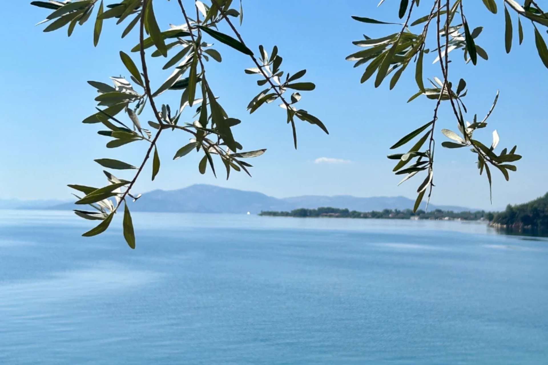 Erlebe die Elemente – Retreat Pelion September 2026