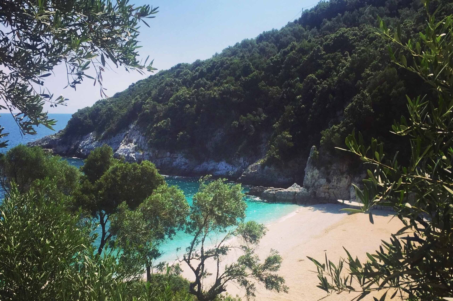 Sunshine For Joy & Wellbeing Retreat in Pelion