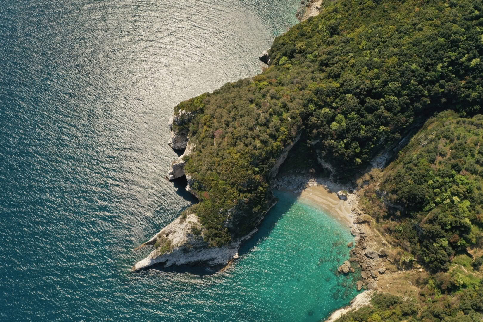 Rewilding für Frauen Retreat