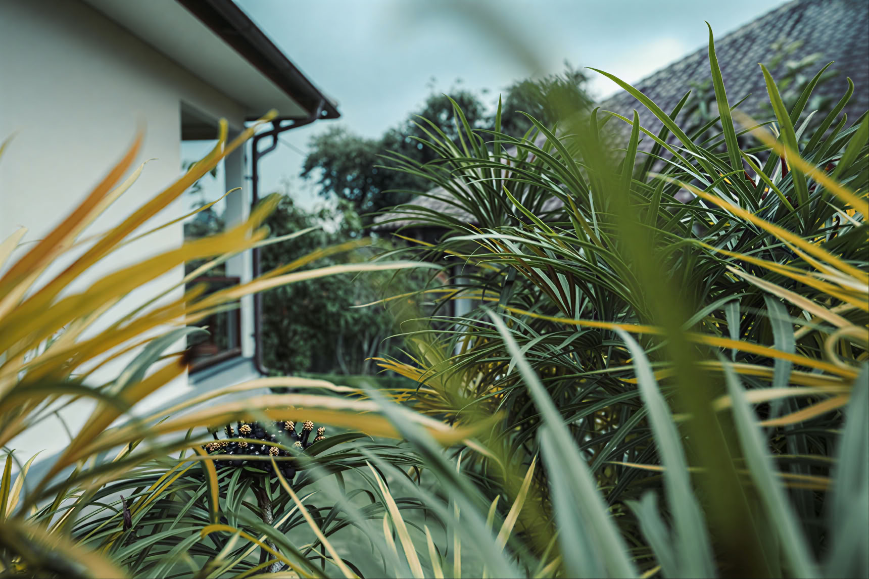 200-Stunden-YTT in Pelaga, Bali – 26. Okt. – 14. Nov. 2026