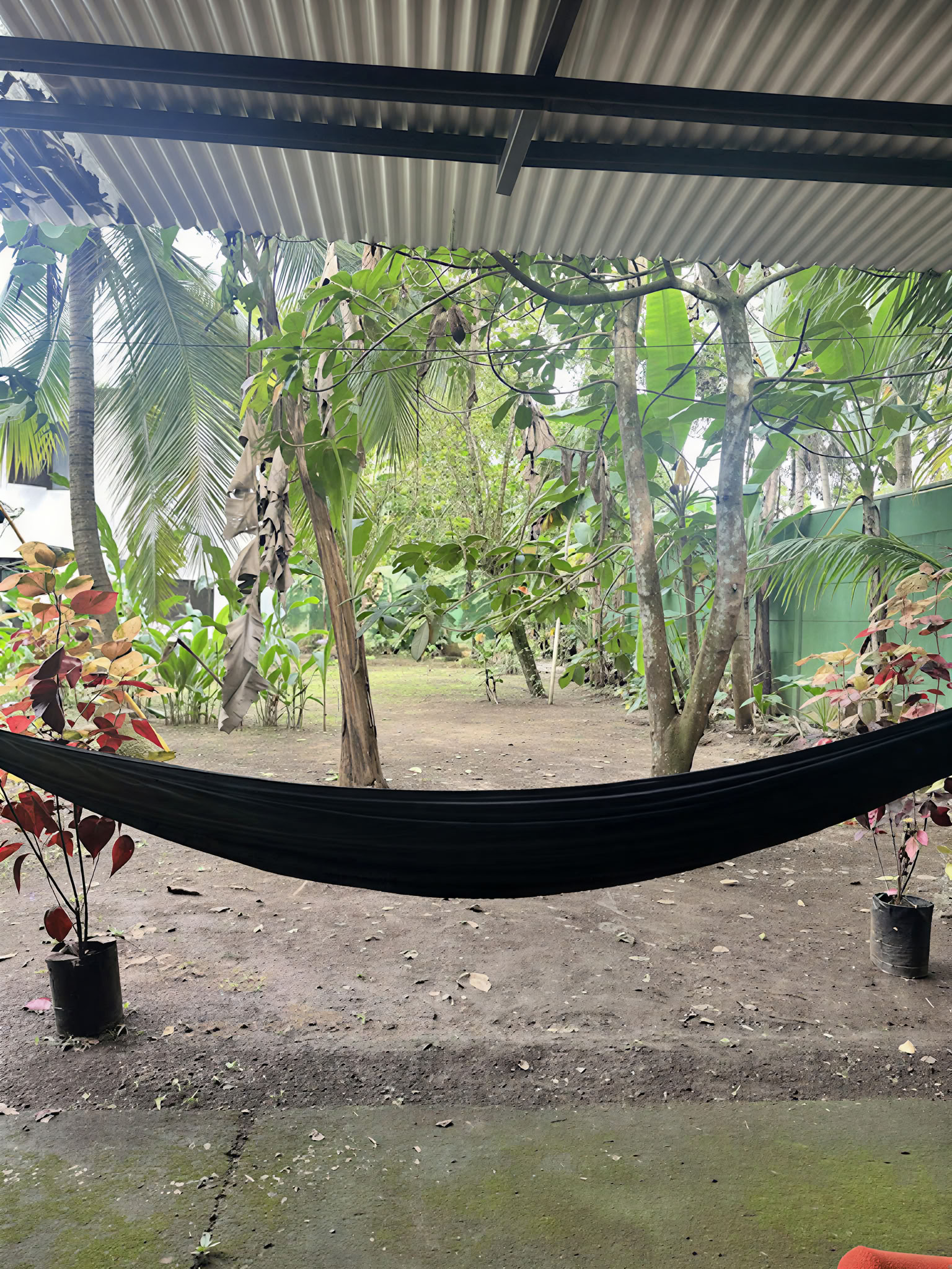 Home Sanctuary Ayahuasca-Retreat – 22. - 29. August