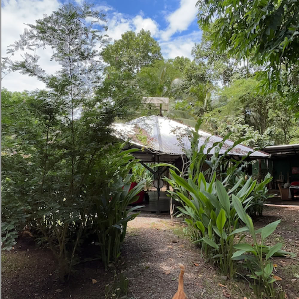 Home Sanctuary Ayahuasca-Retreat – 21.-28. November