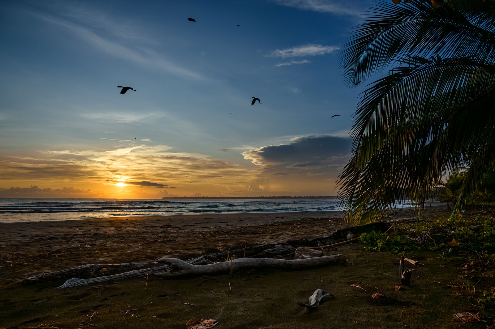 Home Sanctuary Ayahuasca Retreat – 5 - 12 Dezember