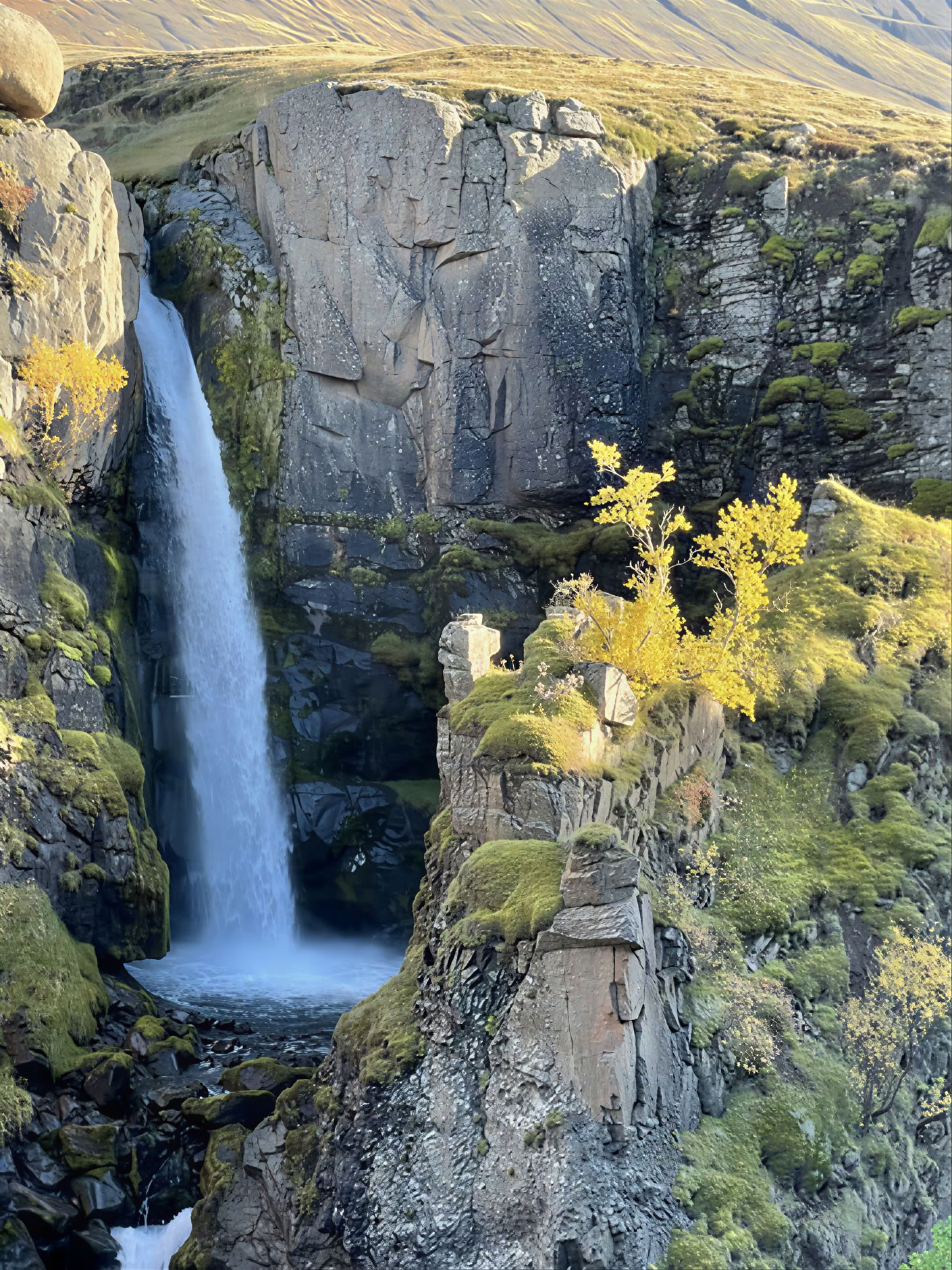 Yoga & Wandern Nordlichter Reise Island