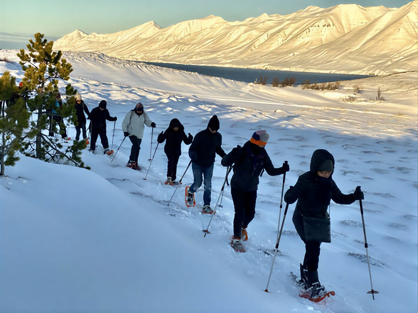 Yoga-Retreat unter dem Nordlicht in Island – Termine Winter 2026
