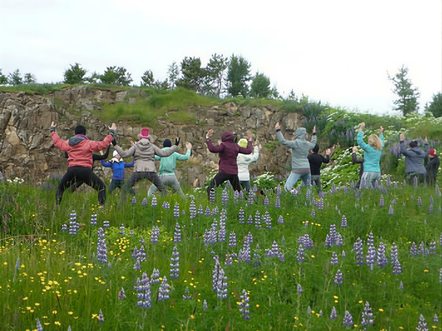 Yoga- & Wander-Retreat Mitternachtssonne in Island – Termine 2026