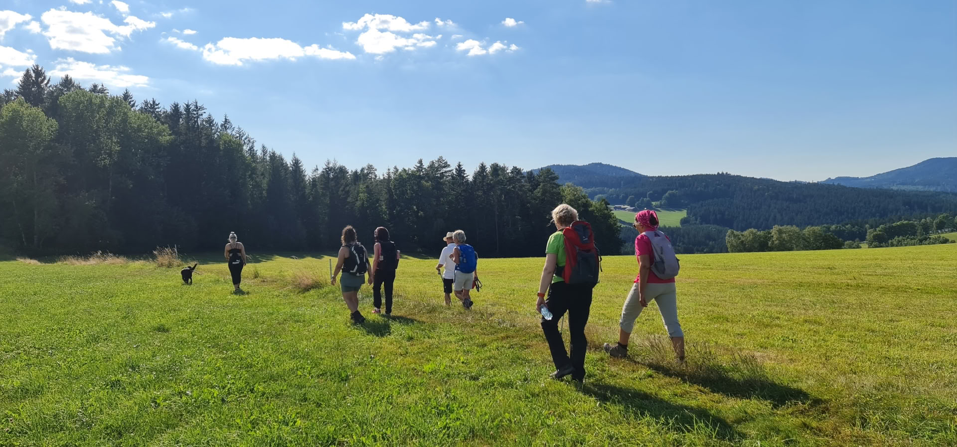 Fastenkurs mit Wandern und Yoga