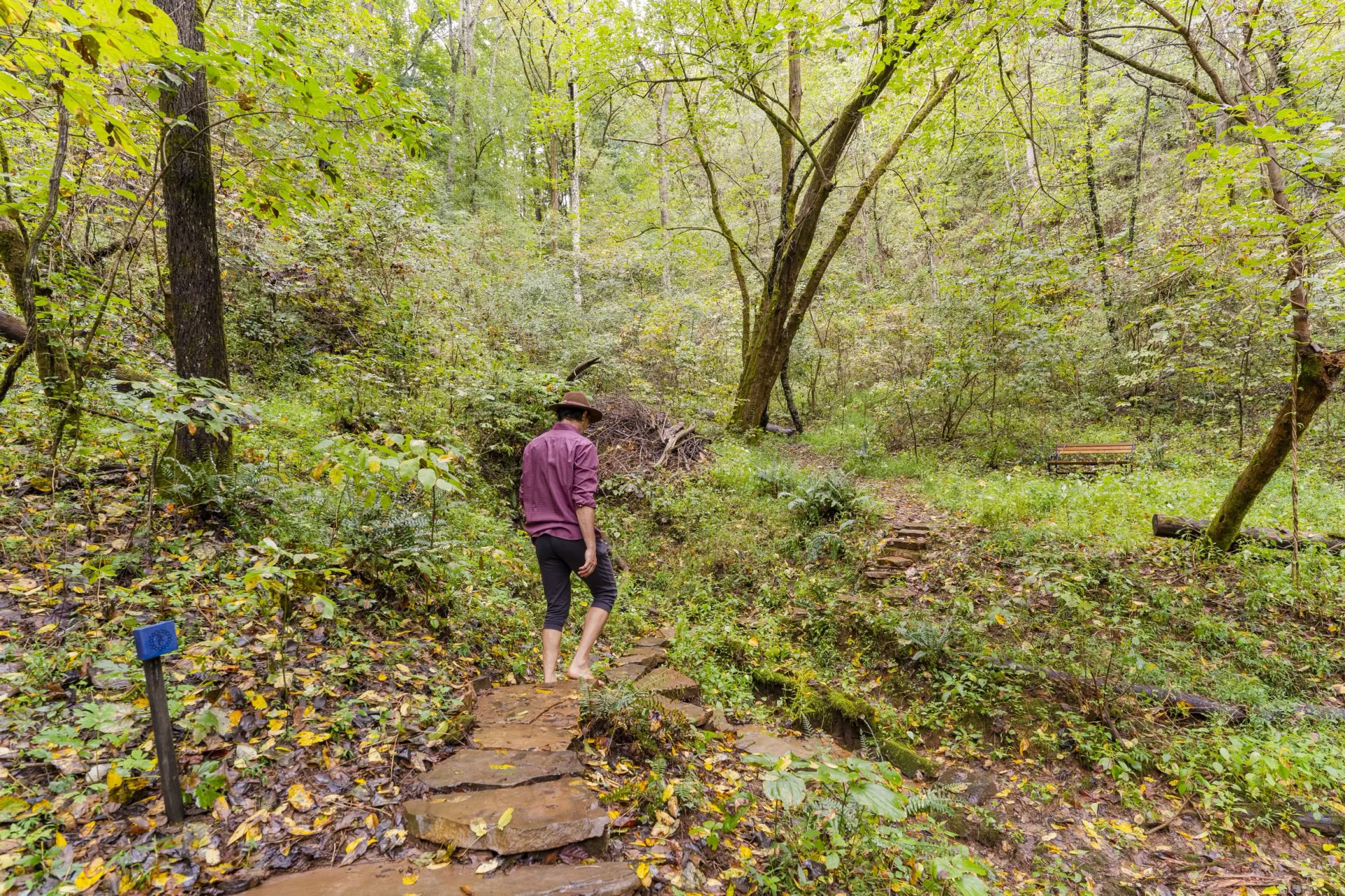 Yoga & Wandern Retreat | Smoky Mountains Yoga Retreat — Seven Springs