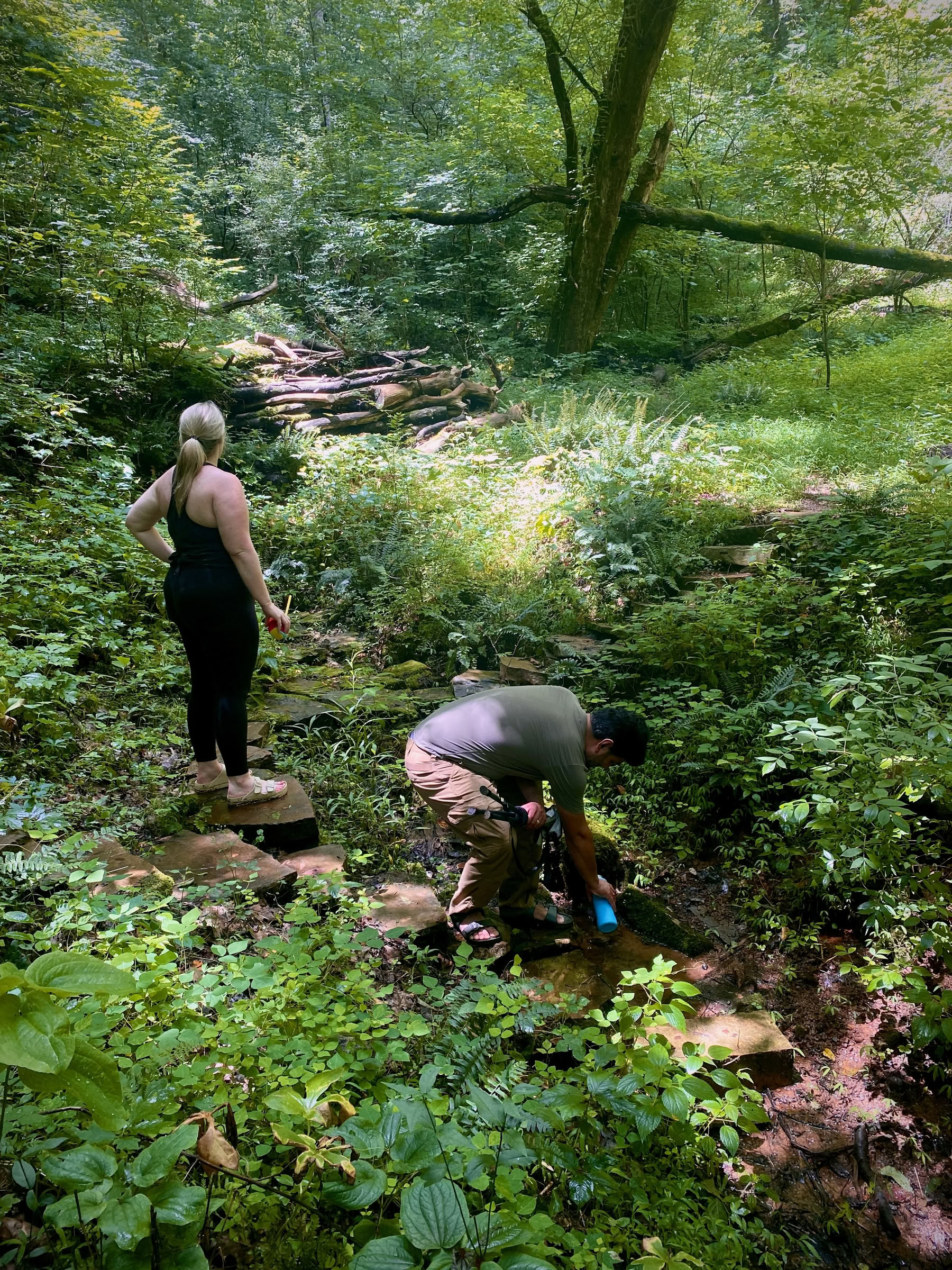 Den Weg gehen: Labyrinth- & Natur-Immersions-Retreat