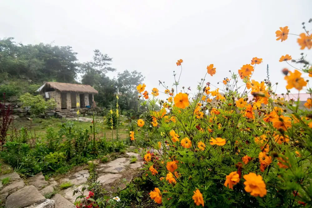 5-tägiges Ayahuasca-Healing-Retreat in Peru
