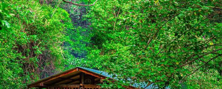 Traditionelle Ayahuasca-Zeremonie