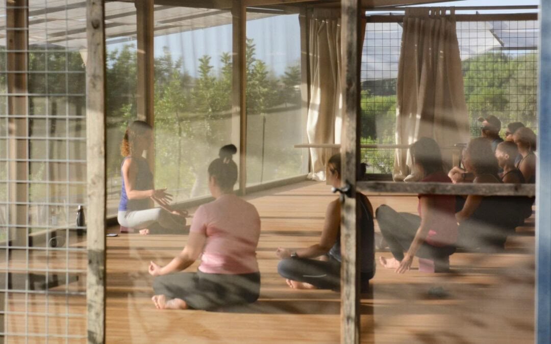 Scent of citrus Retreat - Yoga&Art-Reise