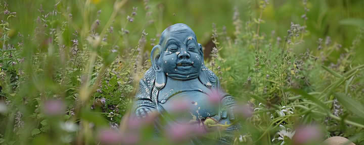 Silent Meditation Retreat mit Liz Frost: 5 Nächte Aufenthalt