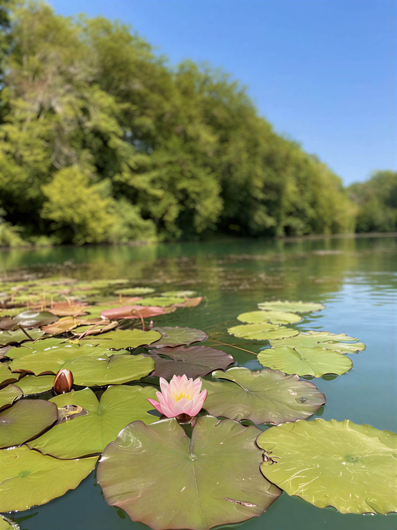 Yoga und Gehmeditation