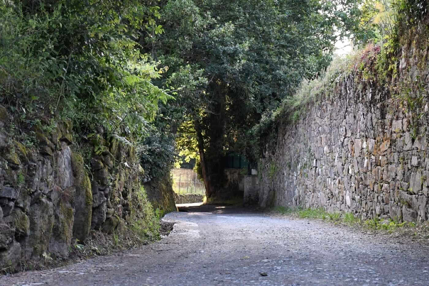 Primitiver Camino ab Lugo in 5 Etappen, Komfortklasse