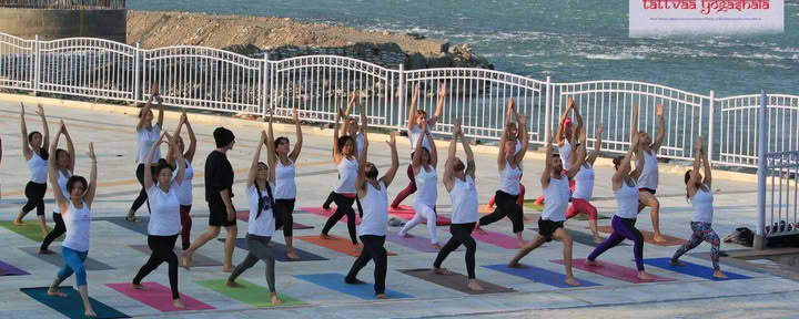 Multi Style Yoga TTC