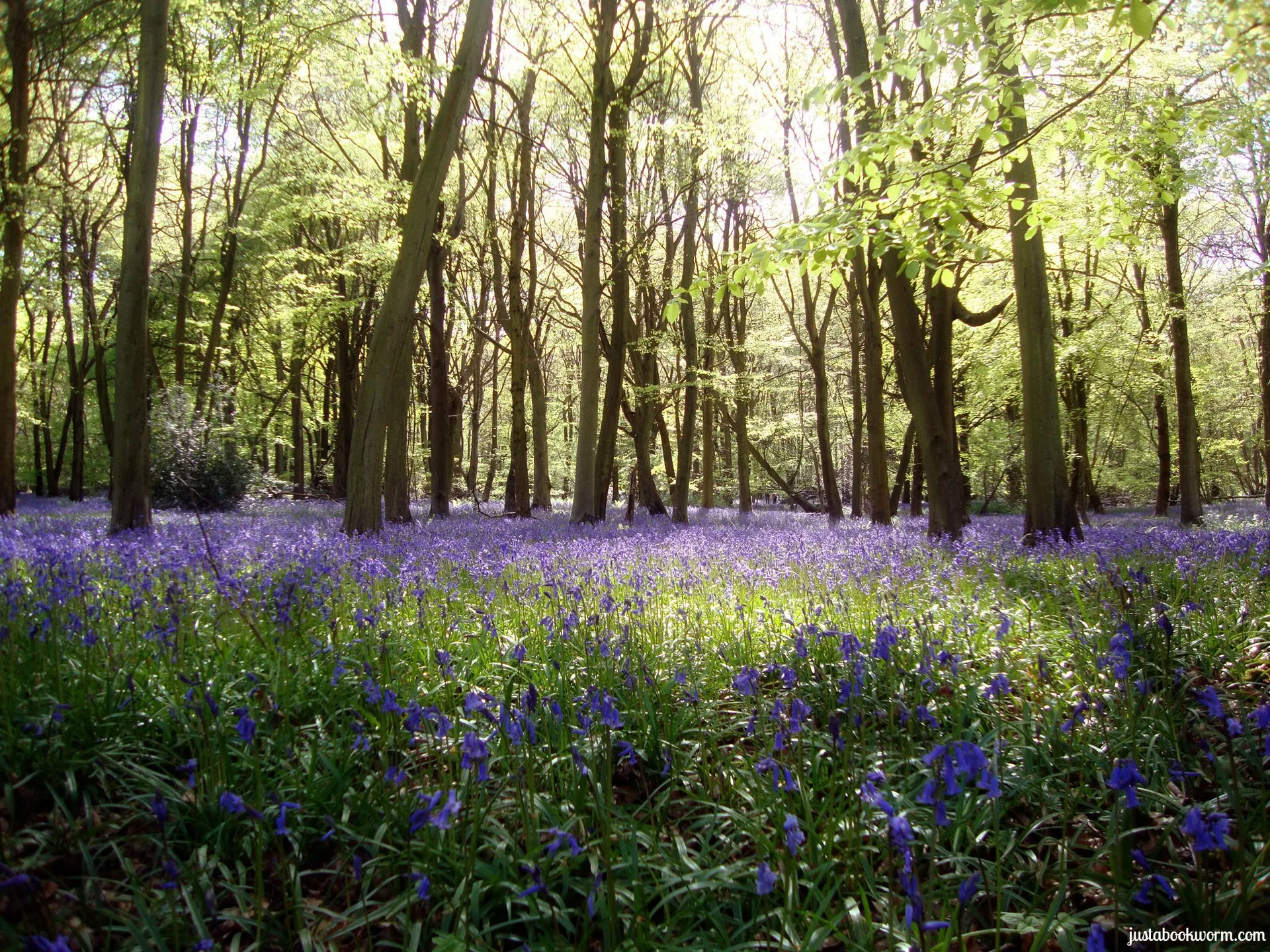 Juice-Fasten und Yoga-Retreat, Cotswolds, Oxfordshire