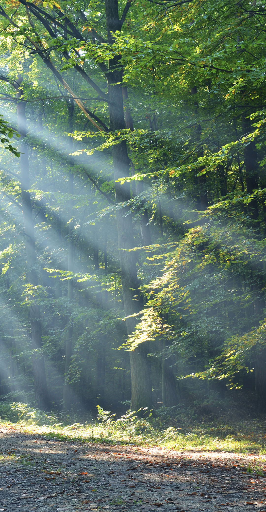 Earth Woman Nackt Yoga- und Meditations-Retreat