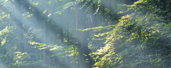 Earth Woman Nackt Yoga- und Meditations-Retreat