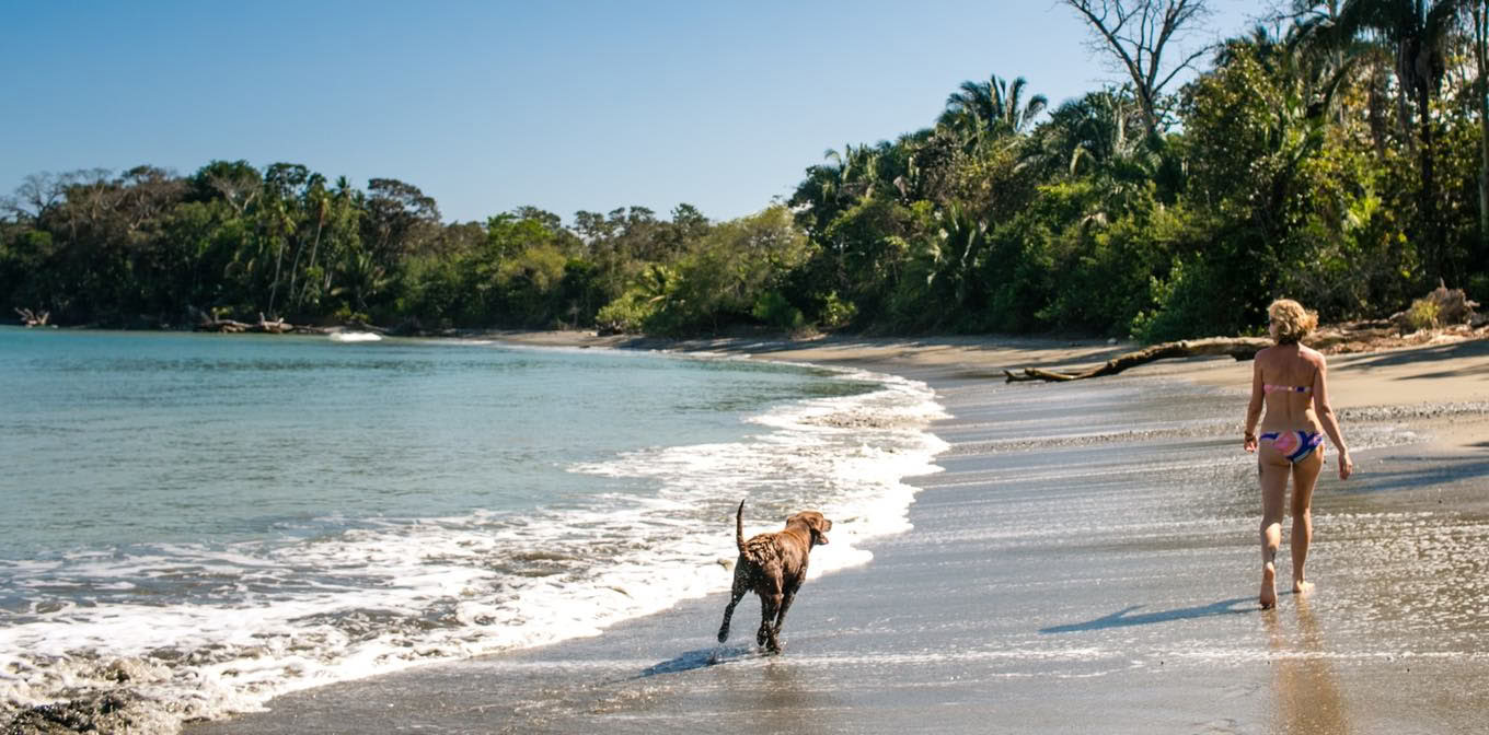 Re-Wilding: Ein Retreat für Frauen nach Costa Rica mit Shelia