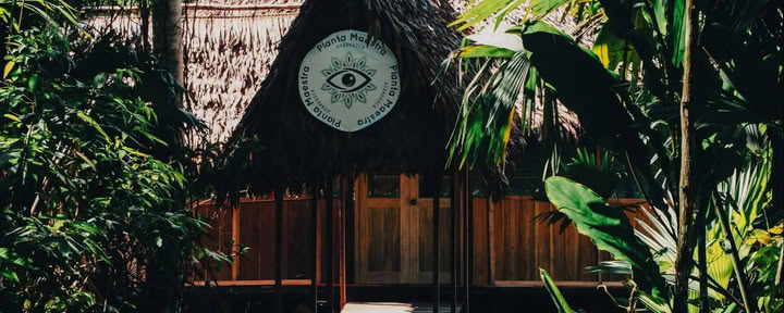 7-Tägige Ayahuasca-Einführung