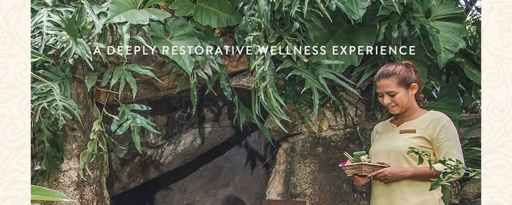 Wellbeing-Sabbatical