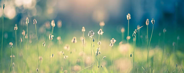 Reiki II: Erweitere Deine Reichweite