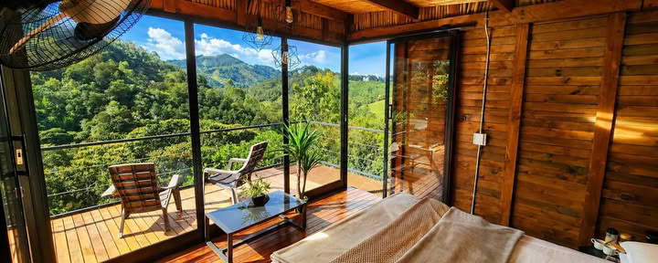 Ayahuasca-Retreat September 2026 in Medellín
