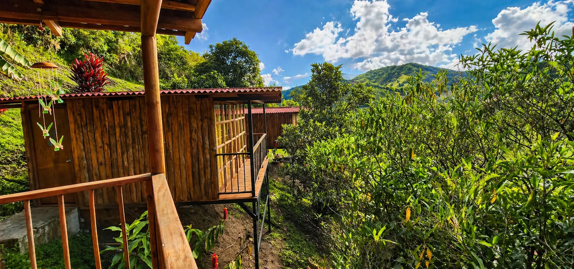 Ayahuasca Retreat im Juli 2026 in Medellín