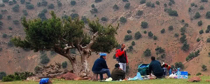 Berg-Yoga-Retreat