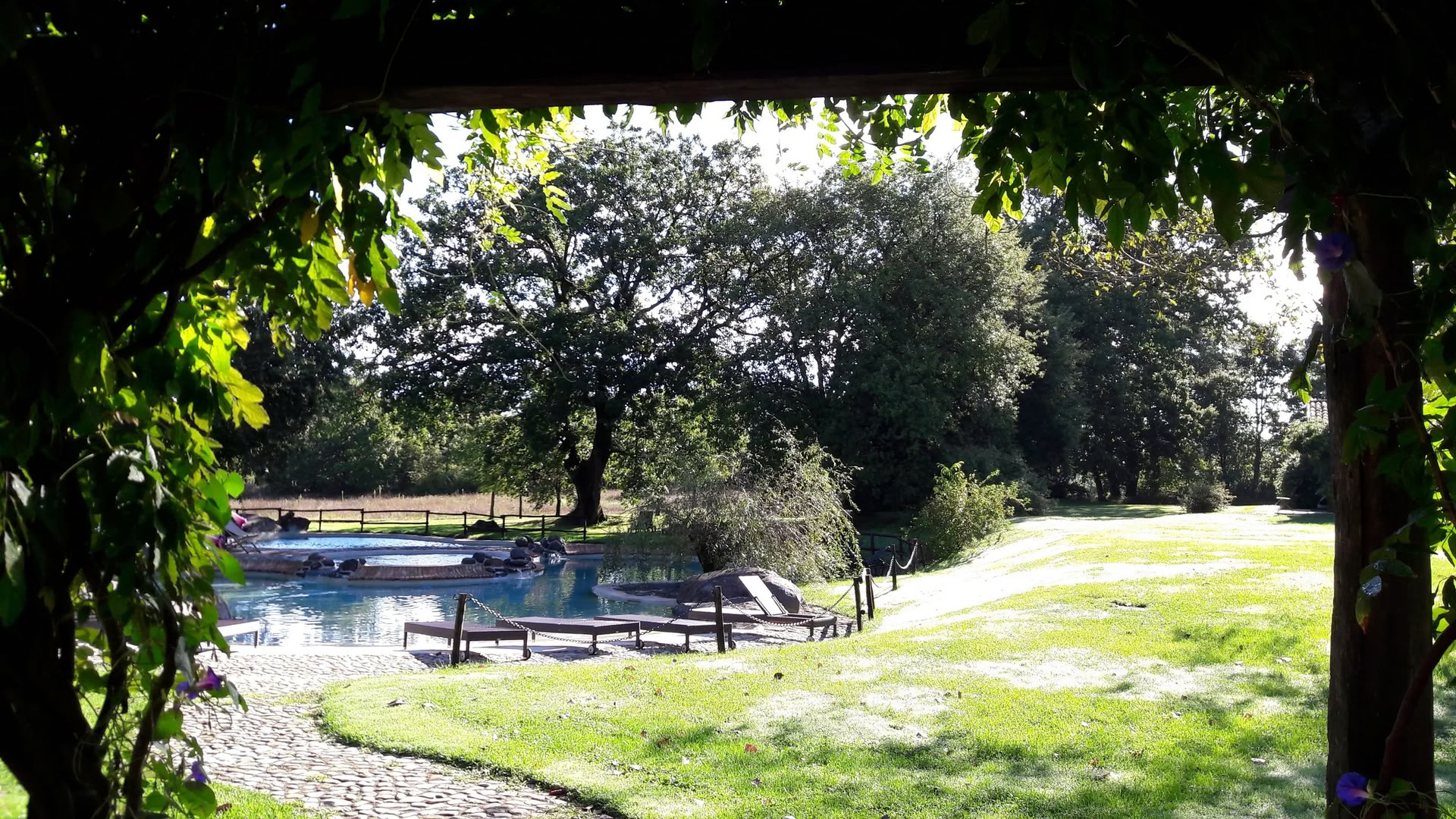 Italy Yoga Retreat — Level 3 Iyengar Yoga Lehrer Rachel Lovegrove