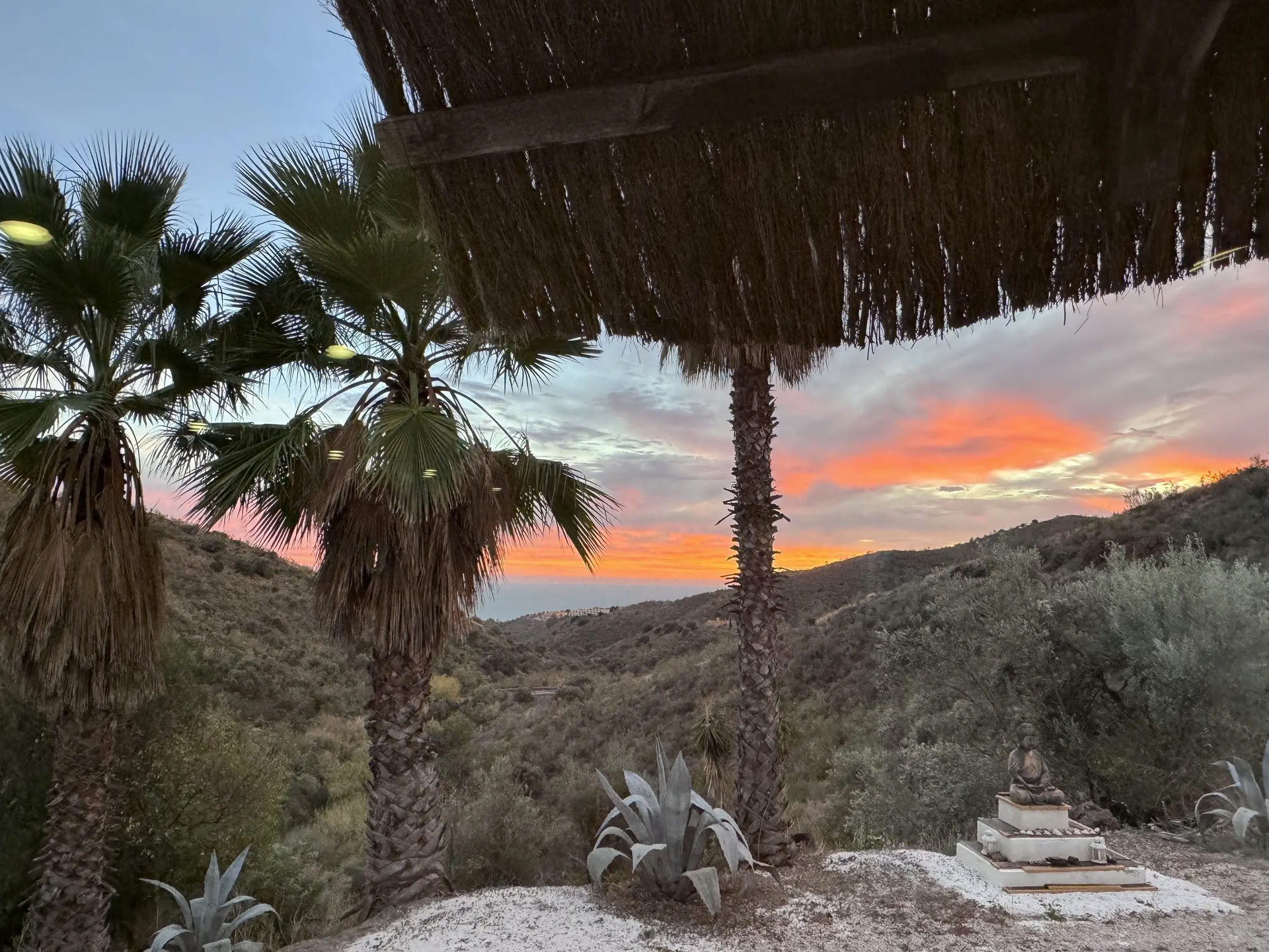 Spain Yoga Retreat - Alle Niveaus willkommen — Level 3 Iyengar Yoga Teacher Rachel Lovegrove